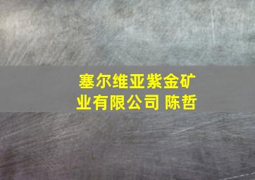 塞尔维亚紫金矿业有限公司 陈哲